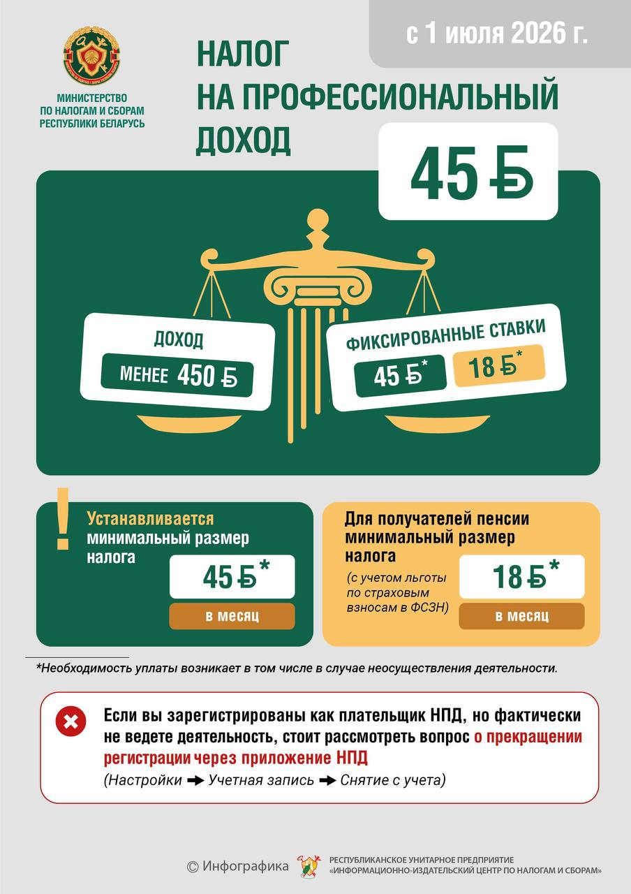 Инфографика НПД